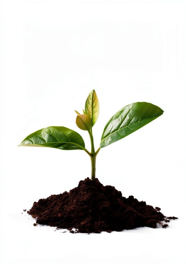 Sustainable Business Guide Kindle Edition by Lioncrest Publishing –-0